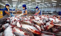 Tra fish export to CPTPP market reaches 114 million USD