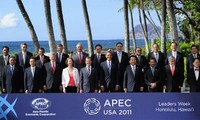 ส่วนร่วมที่เข้มแข็งของเวียดนามในการประชุมเอเปก19