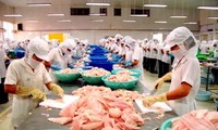 สหรัฐบังคับใช้อัตราภาษีในระดับสูงต่อปลาสวายและปลาบาซาเวียดนาม