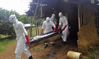WHO: จำนวนผู้ป่วยที่เสียชีวิตจากการติดเชื้ออีโบลาของเซียราเลโอนเพิ่มขึ้น