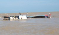 ปฏิกิริยาของเวียดนามเกี่ยวกับการที่เรือประมงของจังหวัดบิ่งดิ๋งถูกชนจนอับปางลงในทะเล