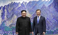 ประชามติโลกต่อผลการพบปะสุดยอดสองภาคเกาหลี