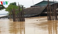 Flooding causes heavy casualties and property losses in central region