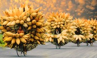 Photos feature Vietnamese cultural heritage
