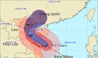 Typhoon Haiyan makes landfall in Hai Phong and Quang Ninh