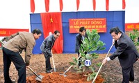 Tuyen Quang launches tree-planting movement