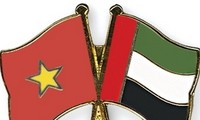 First Vietnam-UAE political consultation