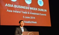 Deputy Foreign Minister Bui Thanh Son visits Ireland