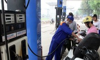 Prime Minister instructs on petroleum management