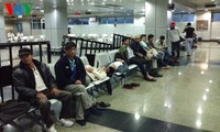 184 Vietnamese workers from Libya to arrive in Hanoi