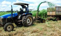 Vietnam, Japan to revolutionize agriculture