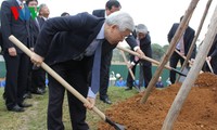Party leader launches tree planting movement