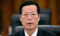 Chinese Deputy Prime Minister meets friends of China