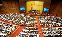 National Assembly deputies comment on the revised Criminal Code