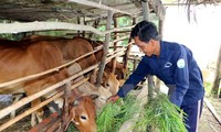 Vietnam takes steps to achieve sustainable poverty reduction