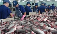 Tra fish export to China enjoys strong growth