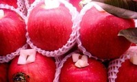 Japanese apples re-enter Vietnamese market