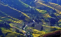 Photo contest promotes Vietnam’s tourism