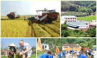 New rural development in Quang Ninh 
