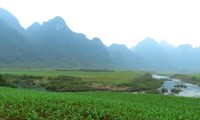 “Kong: Skull Island” shooting in Ninh Binh begins