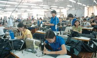 Korean firms interested in Vietnam’s garment and textile sector