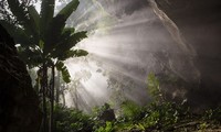 Son Doong Cave nominated for world record