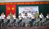 Deputy Prime Minister Truong Hoa Binh’s working visit in Quang Nam
