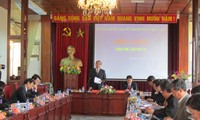 同心协力实施越南青年发展战略