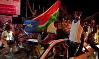 南苏丹独立后的一年