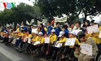 越南残疾人日纪念活动