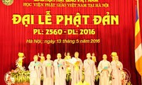 佛历2560年佛诞节活动在越南各地举行
