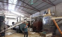 越南最大鱼粉生产厂投入活动