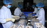 越南工贸部公布310家有信誉出口企业名录