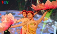 迎接2017年丁酉春节的一系列特别文艺活动在河内举行
