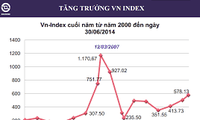 2月13日越南股市几乎无涨跌