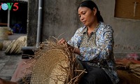 发挥越南妇女在新农村建设中的作用