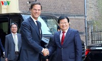 越南政府副总理王庭勇会见荷兰首相吕特