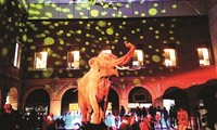  欧洲博物馆之夜活动在法国举行