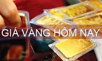  5月29日越南金价和股市简讯