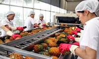5月越南蔬果出口3.44亿美元
