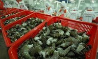 日本是越南最大的虾出口市场