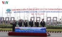 岘港为2017年APEC领导人会议周做好准备