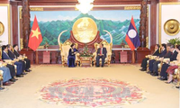 阮氏金银礼节性拜会老挝人民革命党中央总书记、国家主席本扬