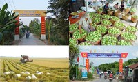到2018年越南约有39% 的乡达到新农村标准