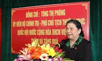 越南国会常务副主席丛氏放探望并向义安省为国立功者赠送礼物