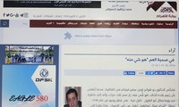 埃及媒体赞颂胡志明主席和越埃关系