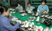 2018年越南皮鞋出口额约达195亿美元