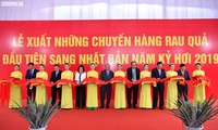 越南政府总理阮春福出席社会政策银行交班会议