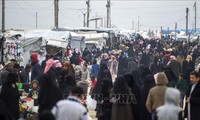 联合国呼吁向叙利亚提供八十八亿美元援助