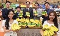 自今年6月起越南香蕉在韩国乐天玛特超市系统正式上市